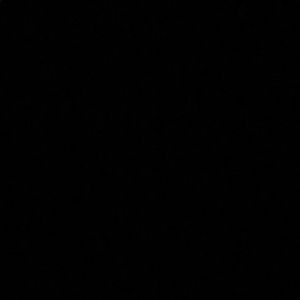 Meet your Posher, Vikki